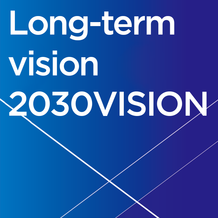 2030年愿景