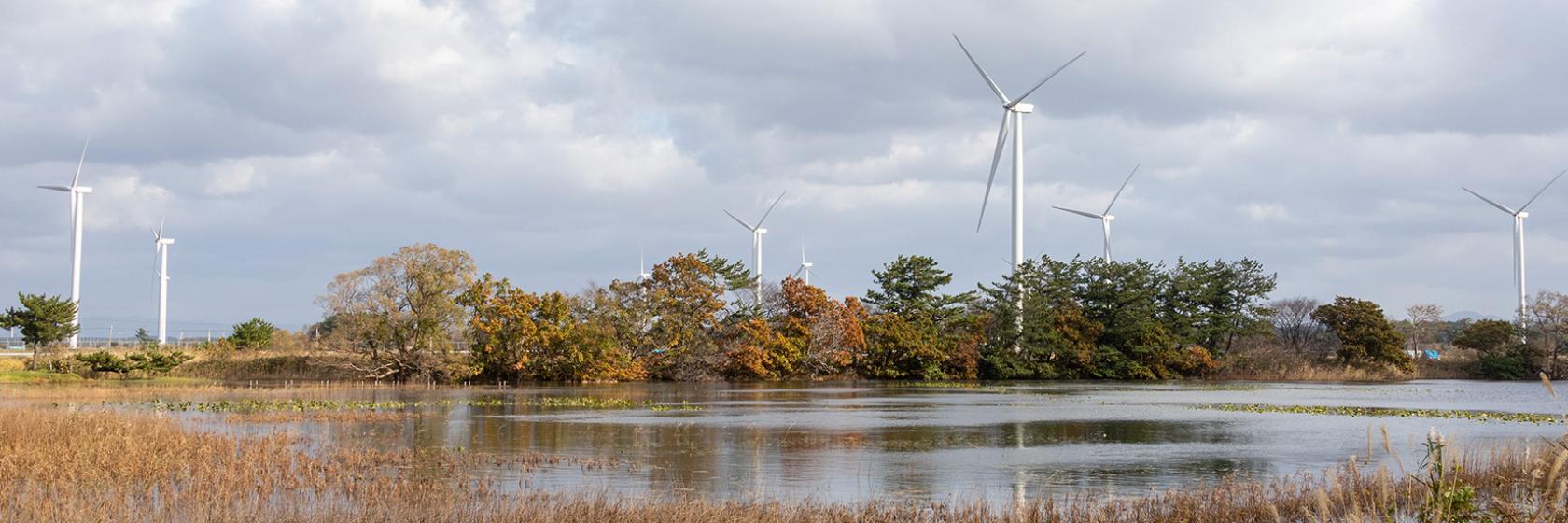 For the popularization of renewable energy, and constantly challenge ~ from the foundation for Japan's largest wind power support