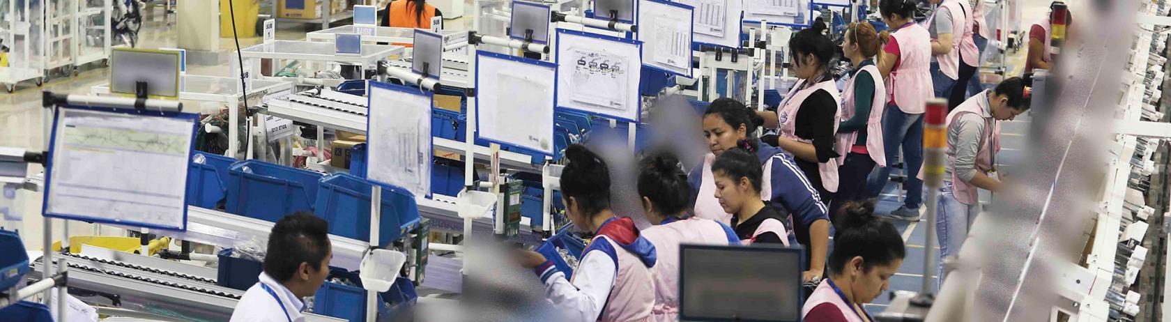 SDP production line