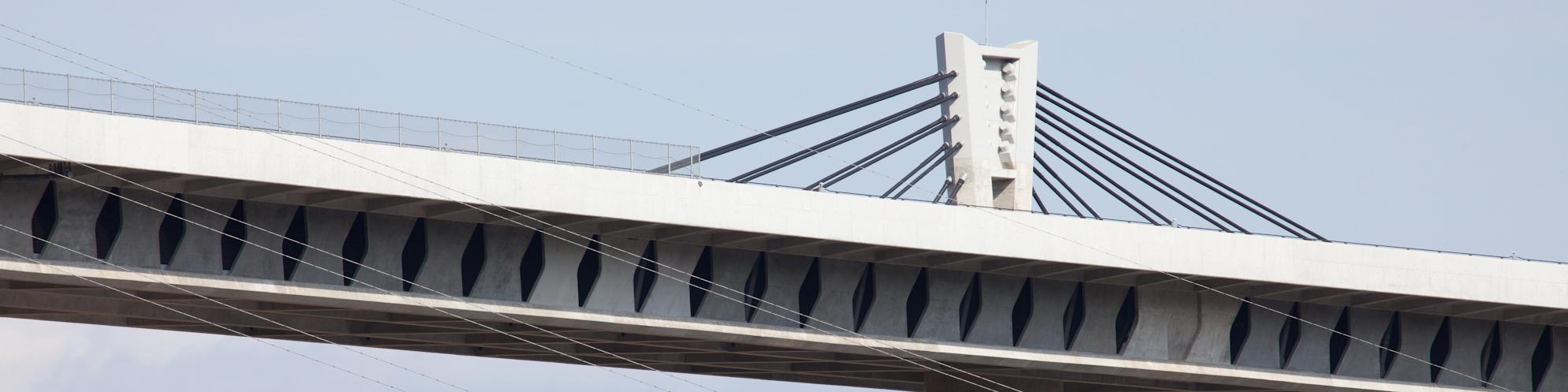 Butterfly low bridge girder web plate structure and the main tower (armory sichuan bridge)