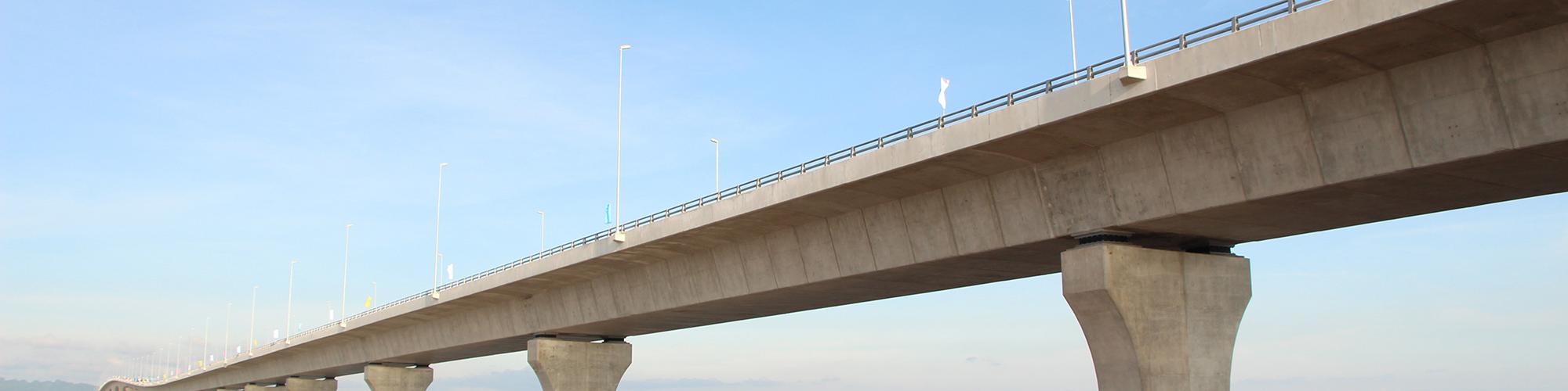 Lakshmi Finn bridge (photo: sumitomo mitsui construction (strains))