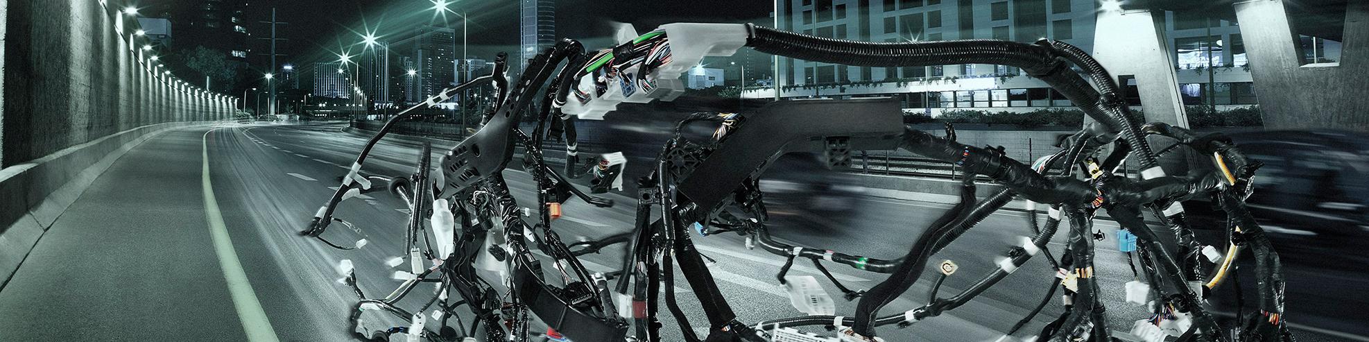 Driving in the car wiring harness (map)