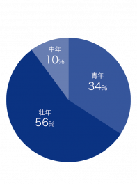 Workers age distribution