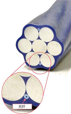 Optical fiber embedded wire