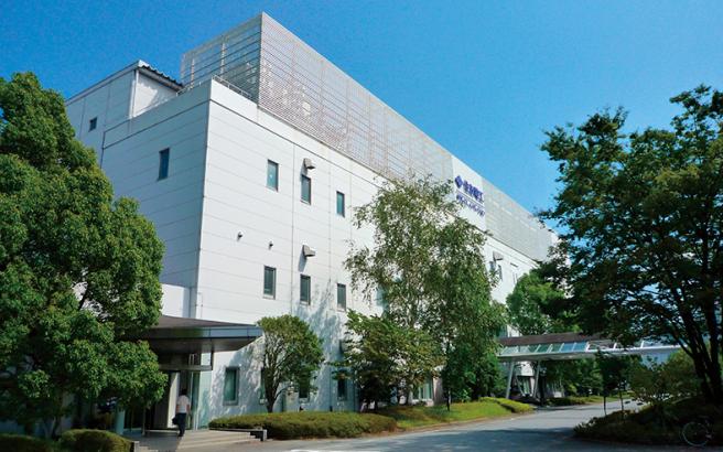 Sumitomo electric Device Innovation, yamanashi career