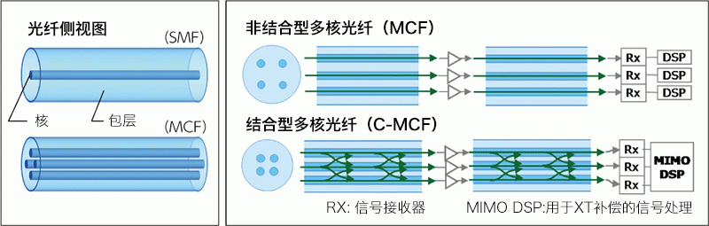 Does WDM: multiple signals with different wavelengths of light transmission, increase each transmission technology of the optical fiber transmission capacity.