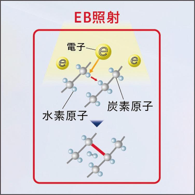 【中文翻译