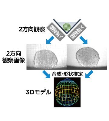 細胞検査技術