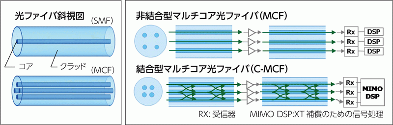 ※波、長分割多重:複数の信号をそれぞれ異なる波長の光で搬送し,光ファイバ1本当たりの伝送容量を増加させる伝送技術。