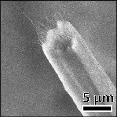 超高强度碳纳米管纱由新的增长方式