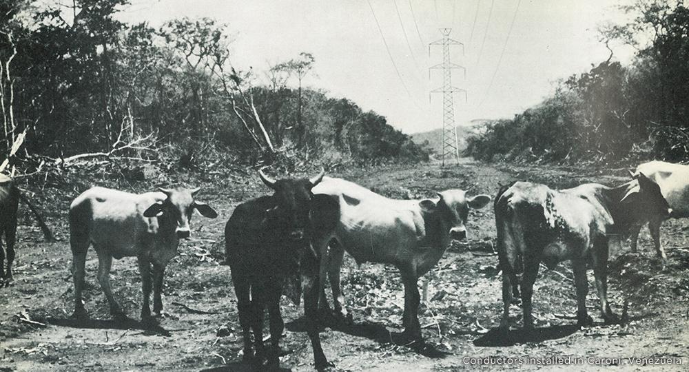 1963年第一个海外指挥项目(委内瑞拉)