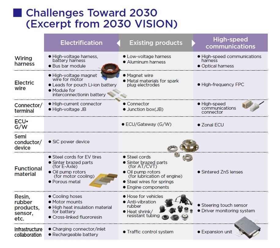 挑战对2030(摘自2030年愿景)